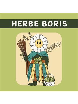 Herbe Boris