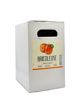 Bricoleuse