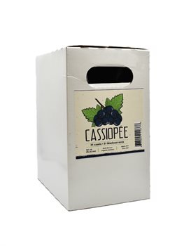 Cassiopée