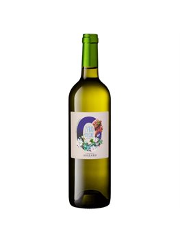 Siozard Claouset Blanc