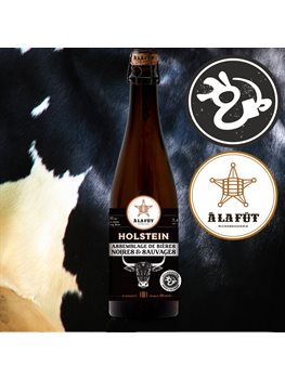 Holstein